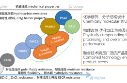 Advantages for long carbon chain polyamide